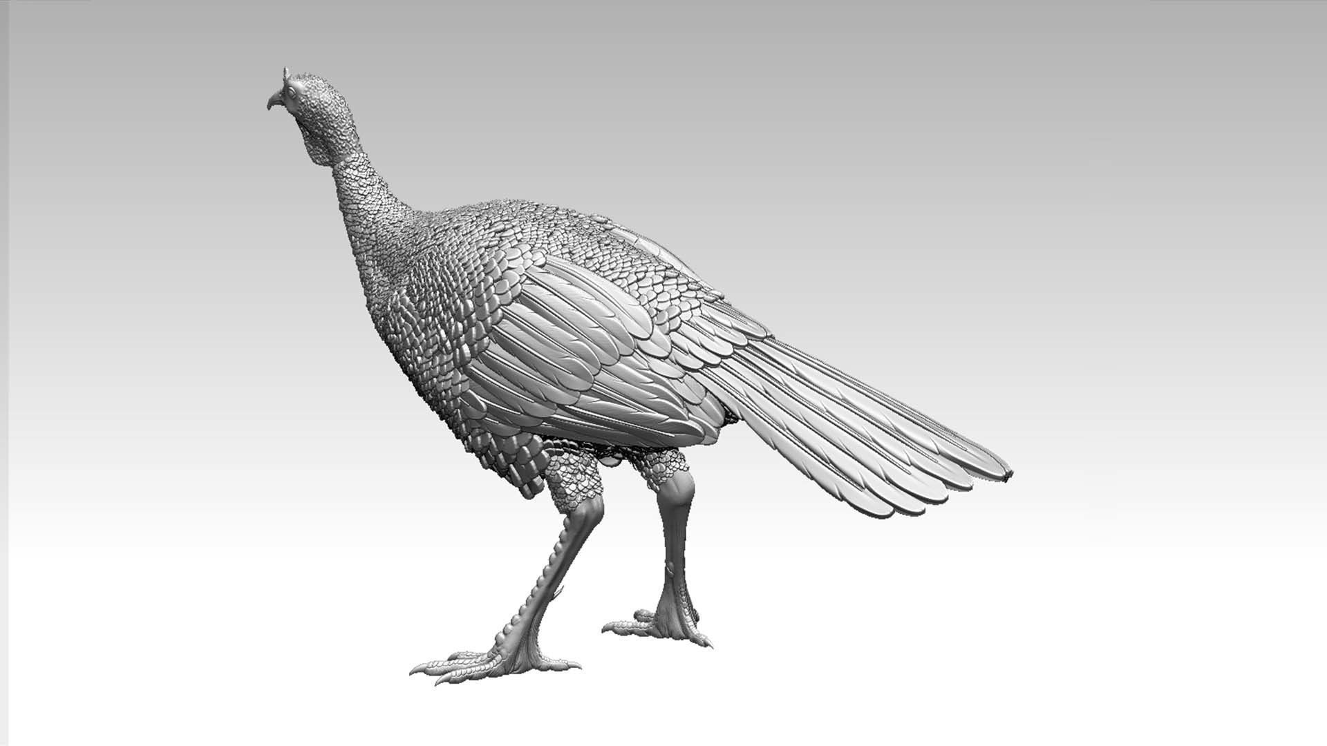 Turkey thanksgiving 3D print model_57