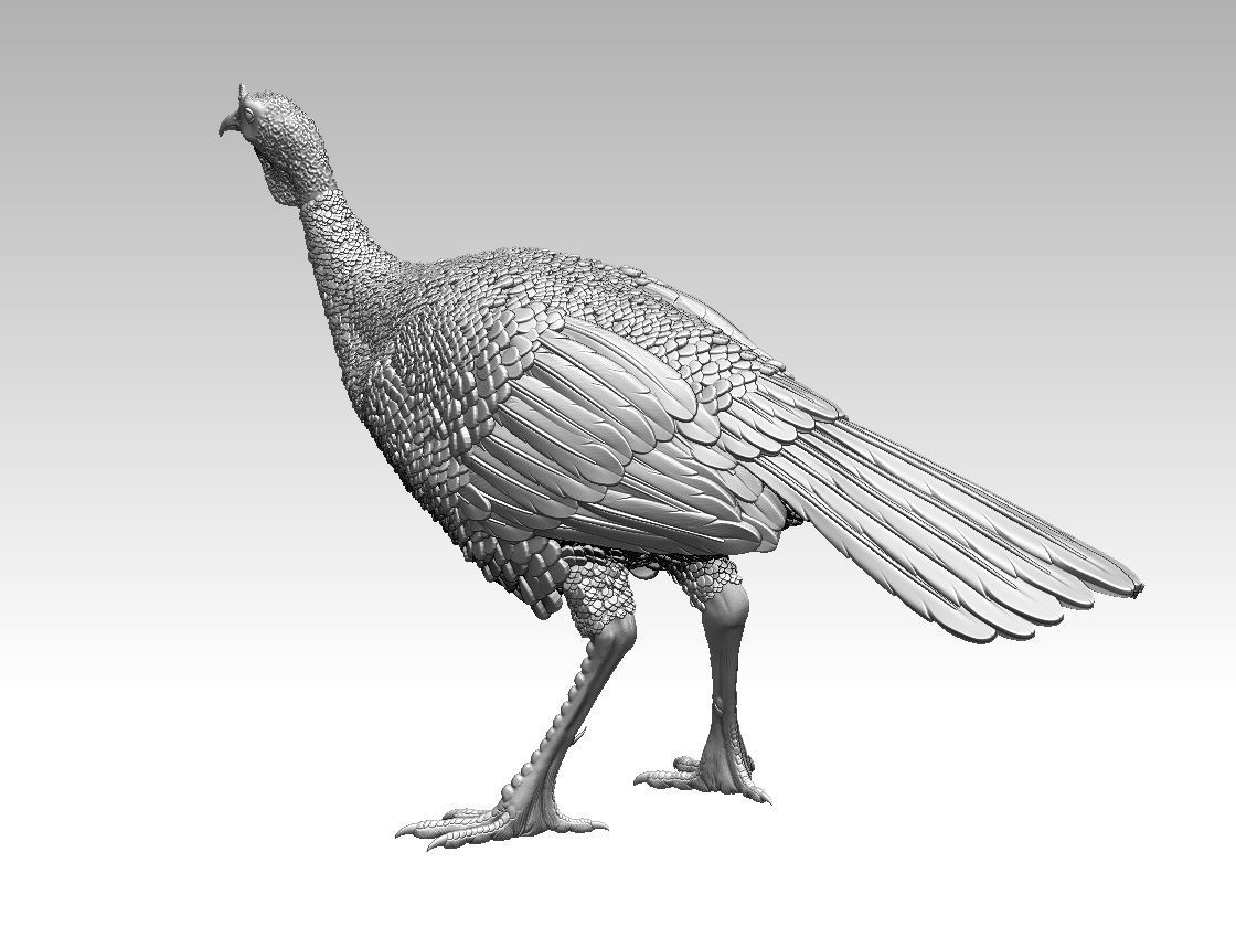 Turkey thanksgiving 3D print model_10