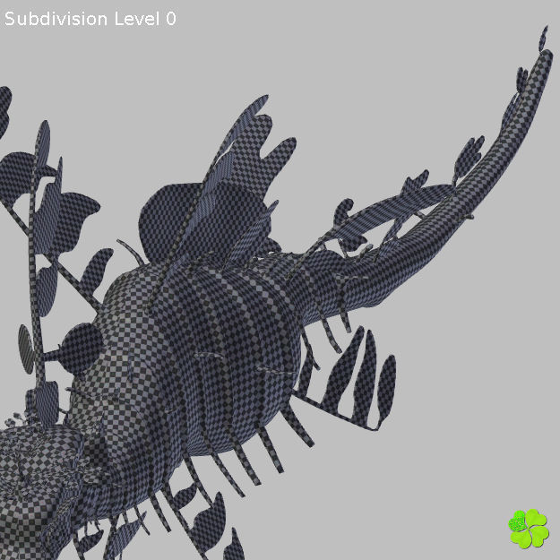 Leafy sea dragon rigged 3D model_46