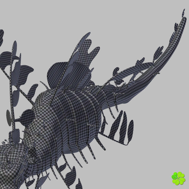 Leafy sea dragon rigged 3D model_45