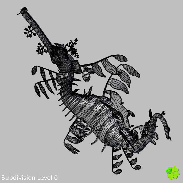 Leafy sea dragon rigged 3D model_29