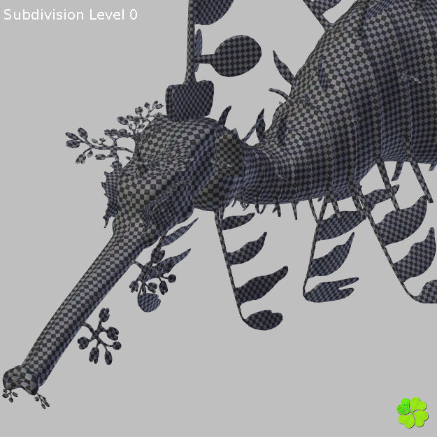 Leafy sea dragon rigged 3D model_44