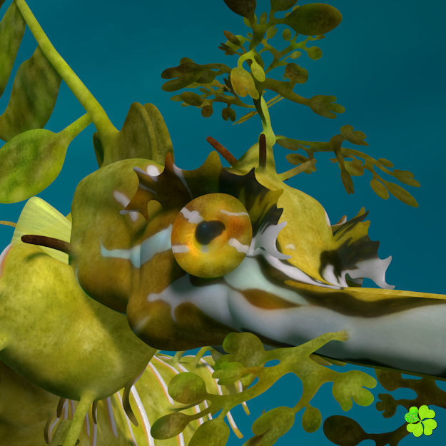 Leafy sea dragon rigged 3D model_9