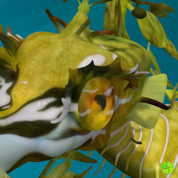 Leafy sea dragon rigged 3D model_13