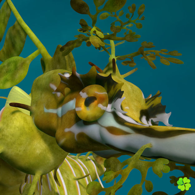 Leafy sea dragon rigged 3D model_8