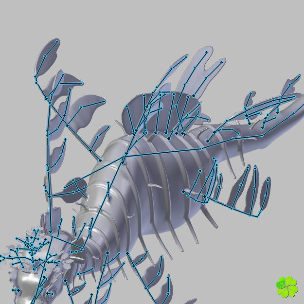 Leafy sea dragon rigged 3D model_51
