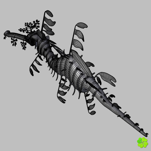 Leafy sea dragon rigged 3D model_55