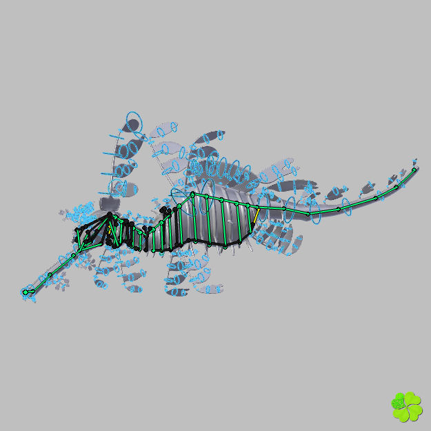 Leafy sea dragon rigged 3D model_54
