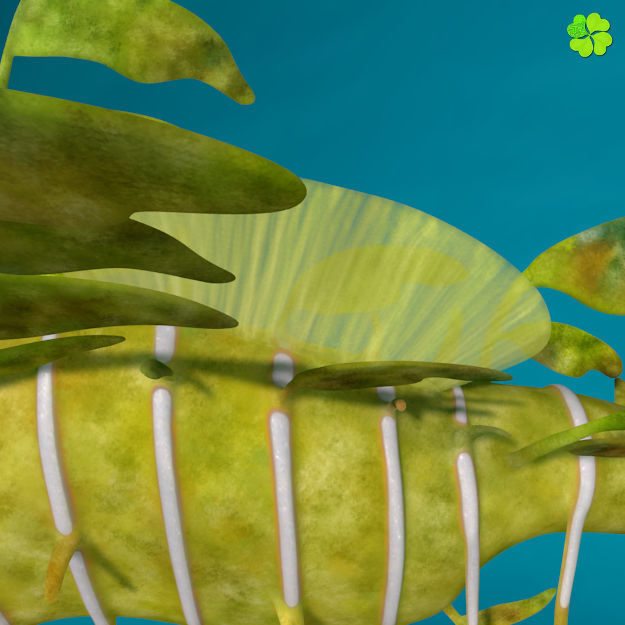 Leafy sea dragon rigged 3D model_19