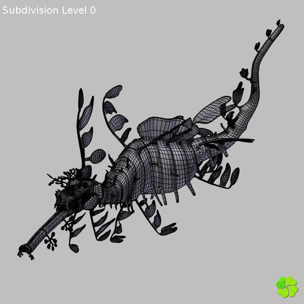 Leafy sea dragon rigged 3D model_33