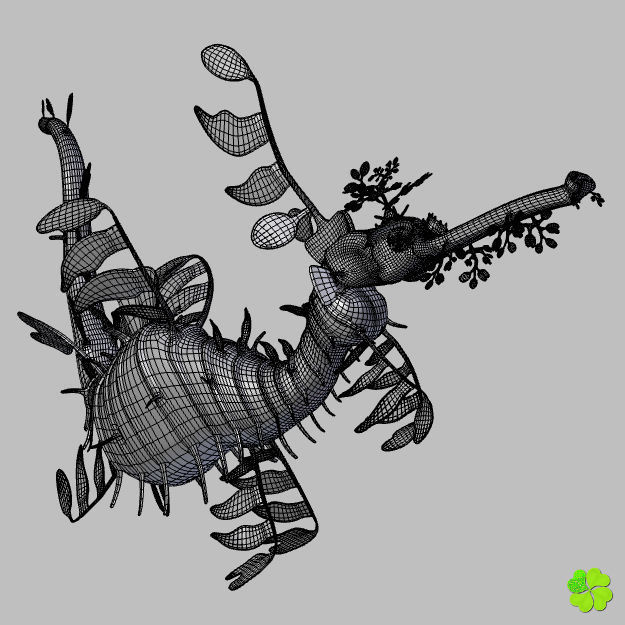 Leafy sea dragon rigged 3D model_30