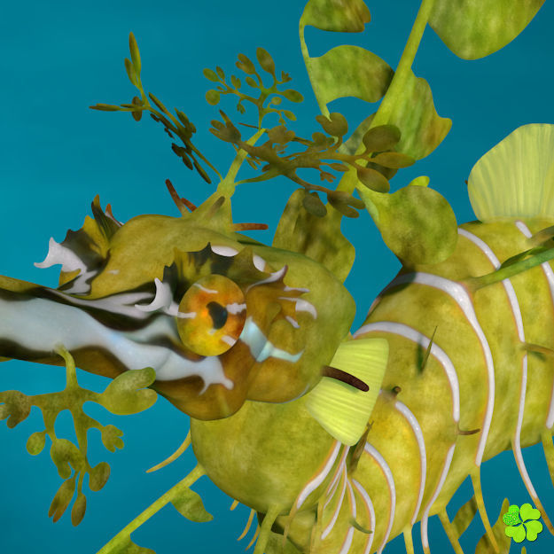 Leafy sea dragon rigged 3D model_2