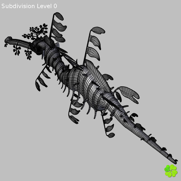 Leafy sea dragon rigged 3D model_56