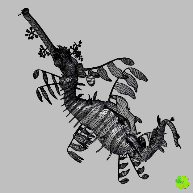 Leafy sea dragon rigged 3D model_28