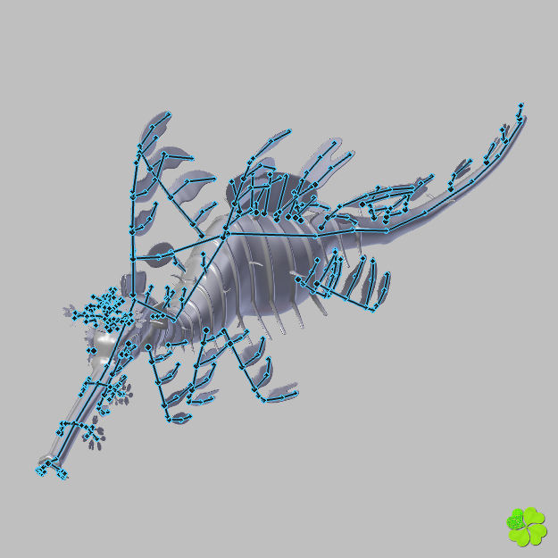 Leafy sea dragon rigged 3D model_49
