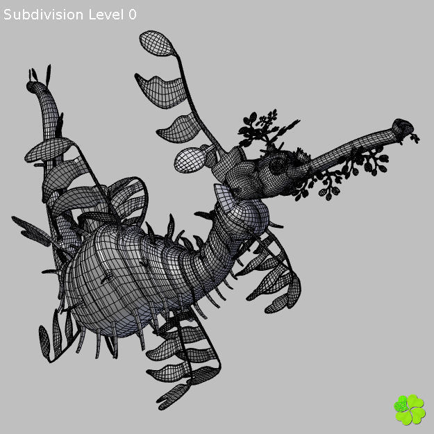 Leafy sea dragon rigged 3D model_31