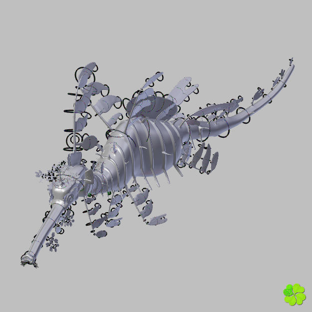 Leafy sea dragon rigged 3D model_50
