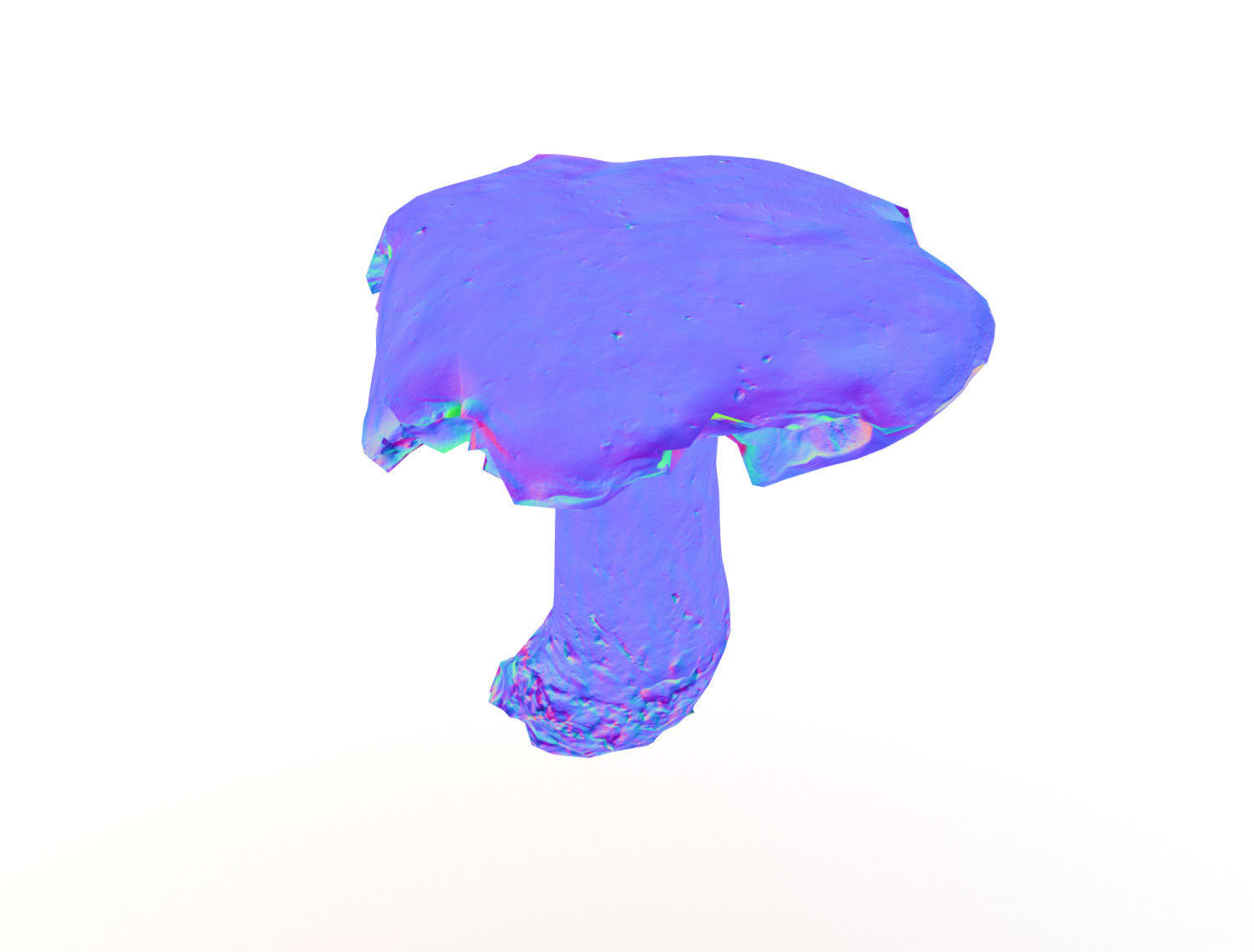 Photorealistic mushroom - Porcini - Boletus edulis Low-poly 3D model_7