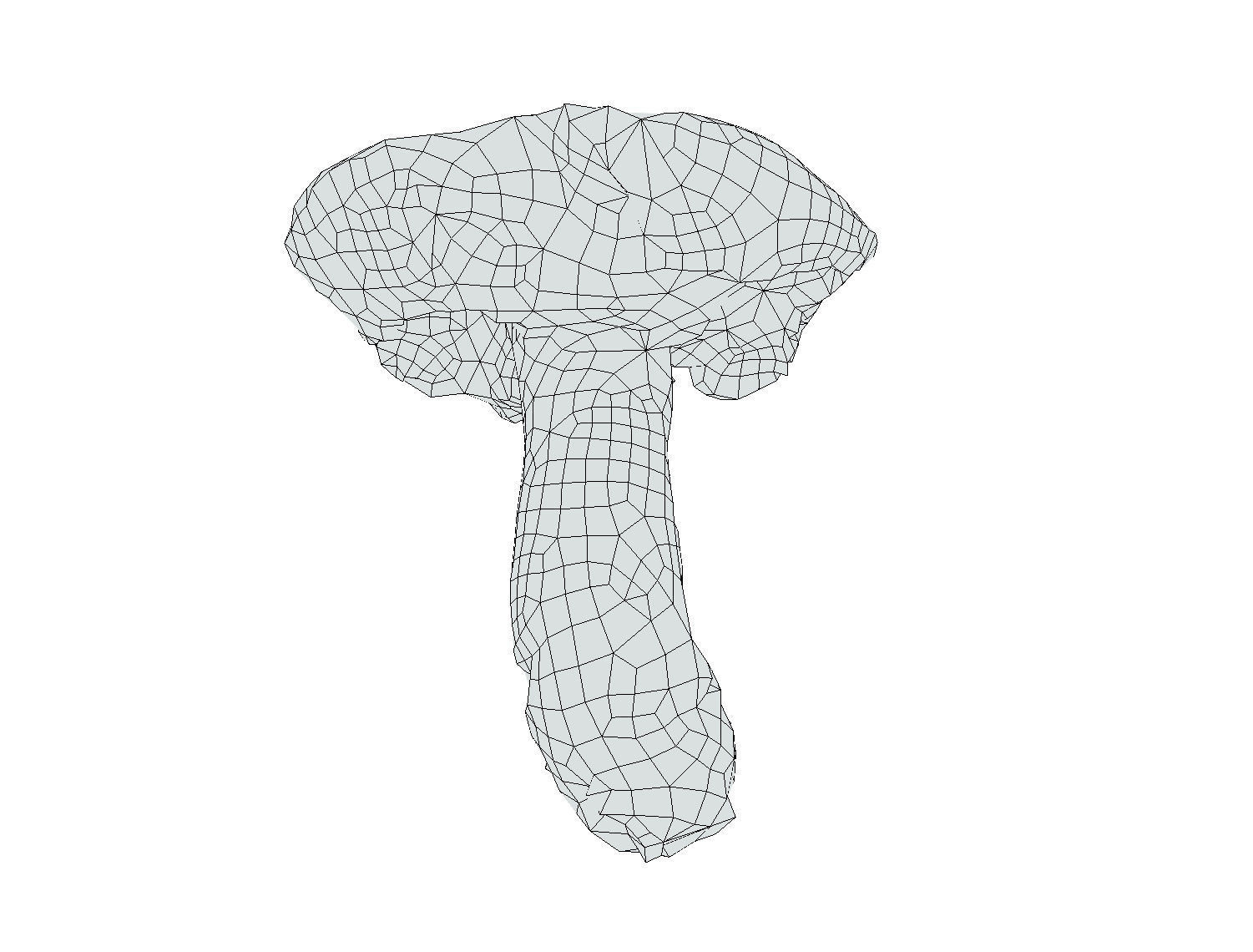 Photorealistic mushroom - Porcini - Boletus edulis Low-poly 3D model_11