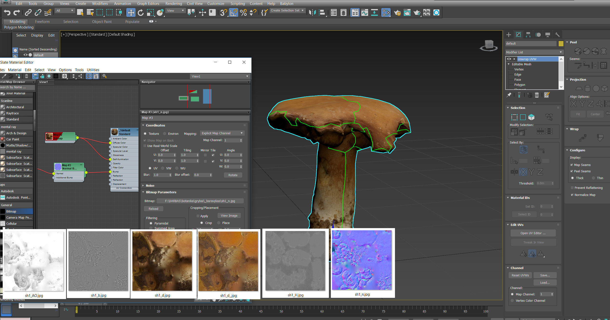 Photorealistic mushroom - Porcini - Boletus edulis Low-poly 3D model_17
