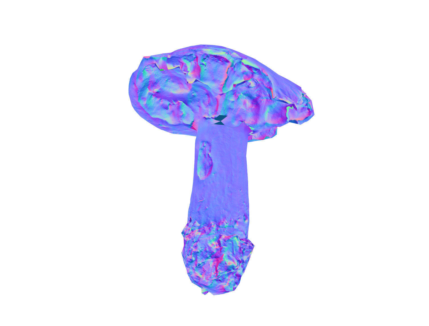 Photorealistic mushroom - Porcini - Boletus edulis Low-poly 3D model_6