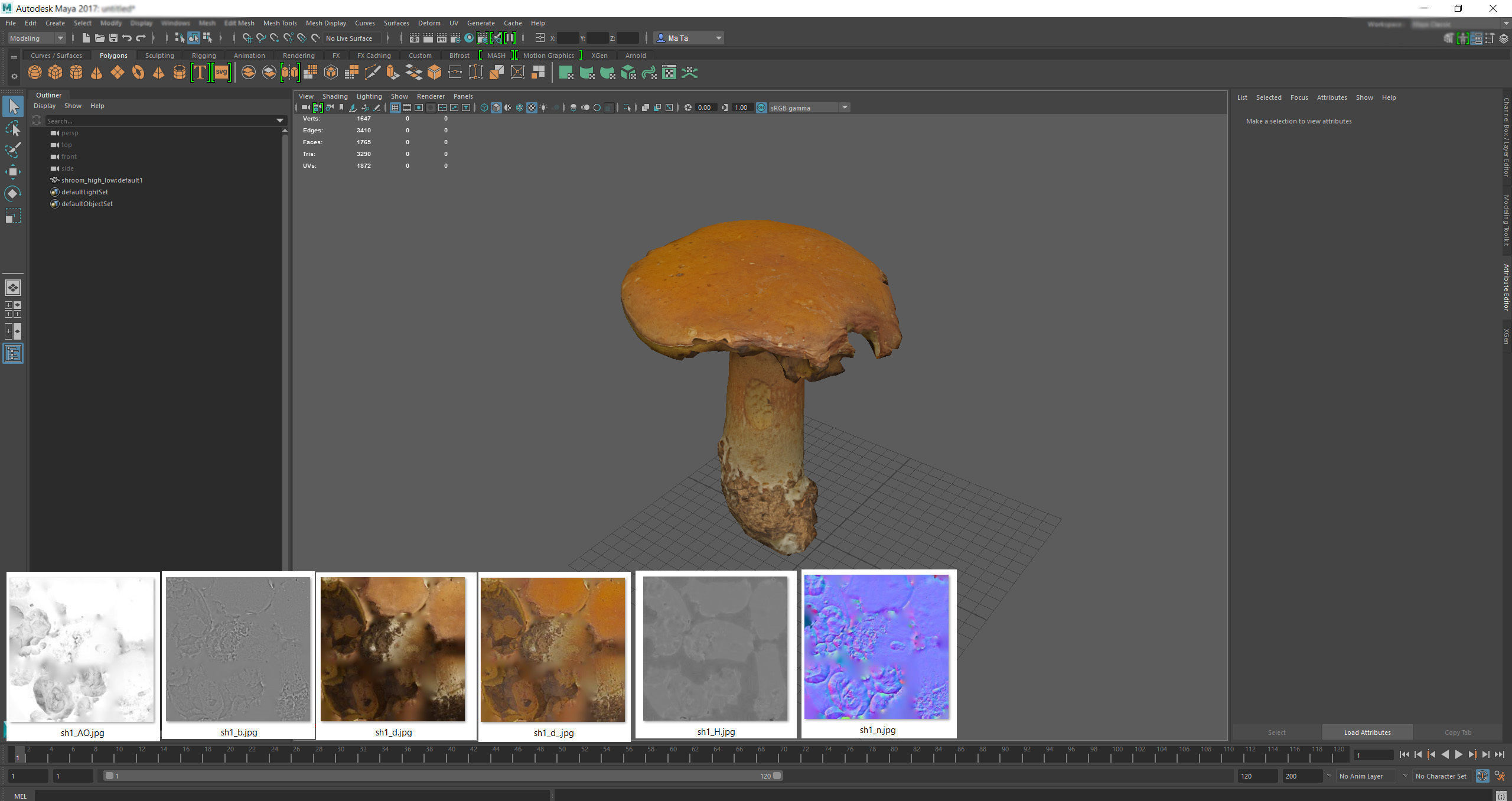 Photorealistic mushroom - Porcini - Boletus edulis Low-poly 3D model_16