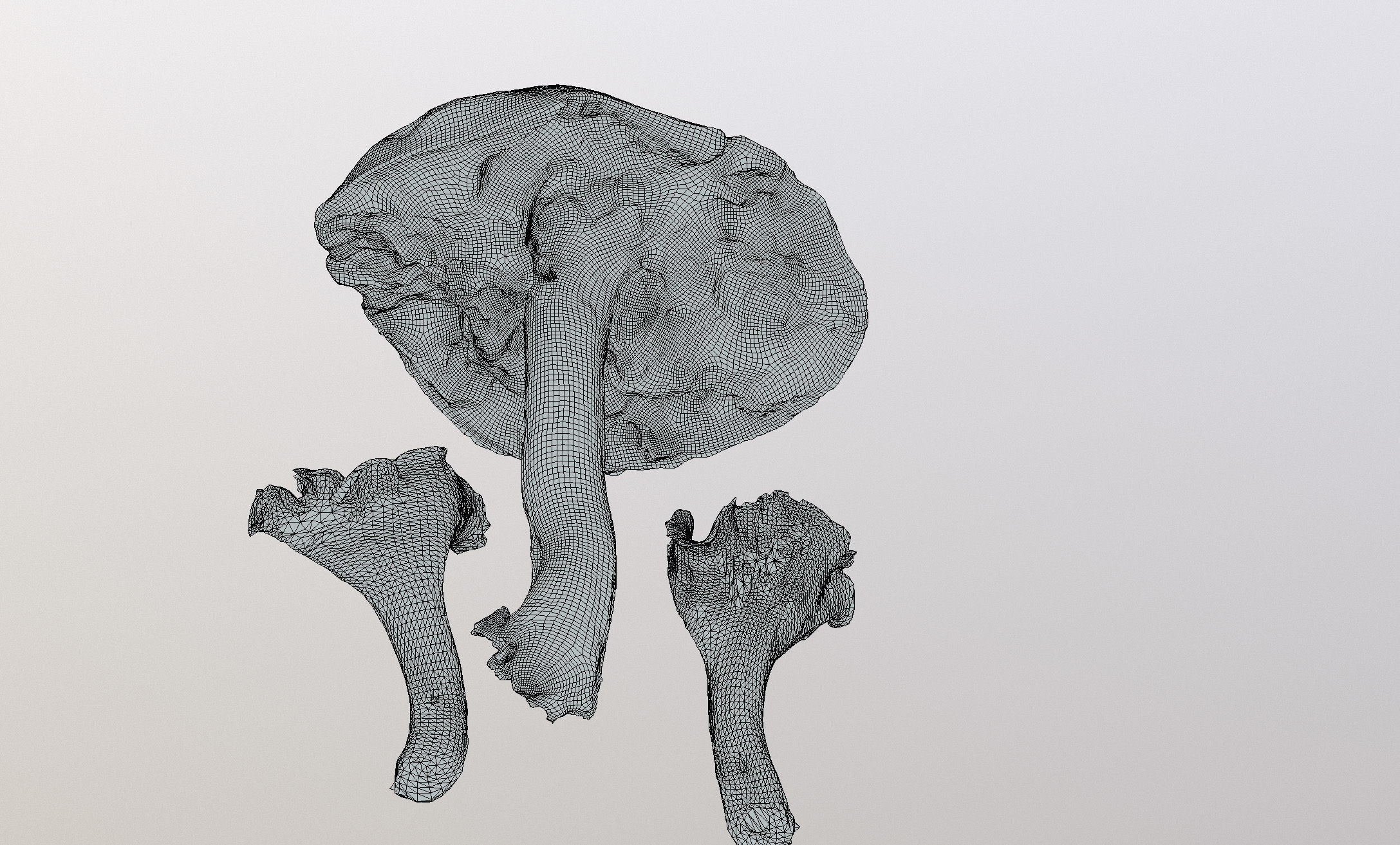 Photorealistic mushrooms Leccinum scabrum and Cantharellus 3D model_6
