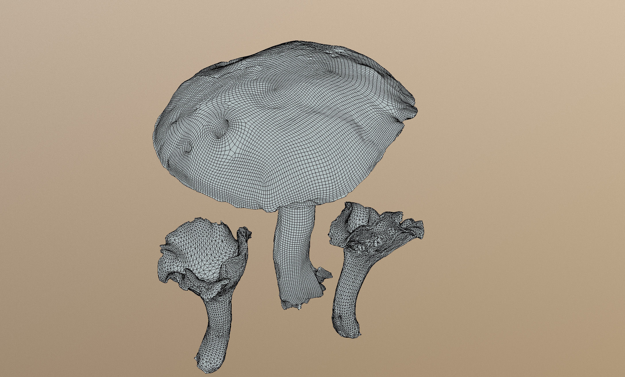 Photorealistic mushrooms Leccinum scabrum and Cantharellus 3D model_7