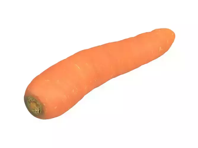 Photorealistic Carrot 3D Scan 3D model