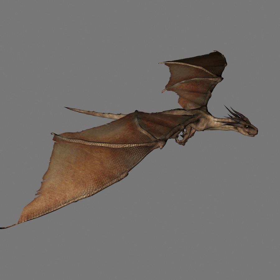 Desert Dragon Low-poly 3D model_3