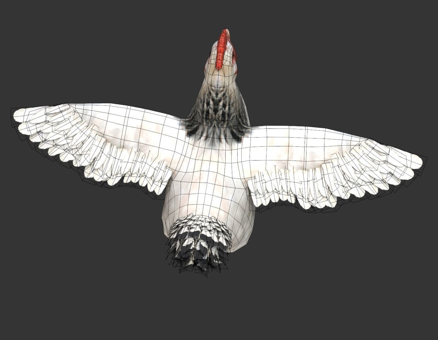 Simple hen chicken low poly model Low-poly 3D model_6