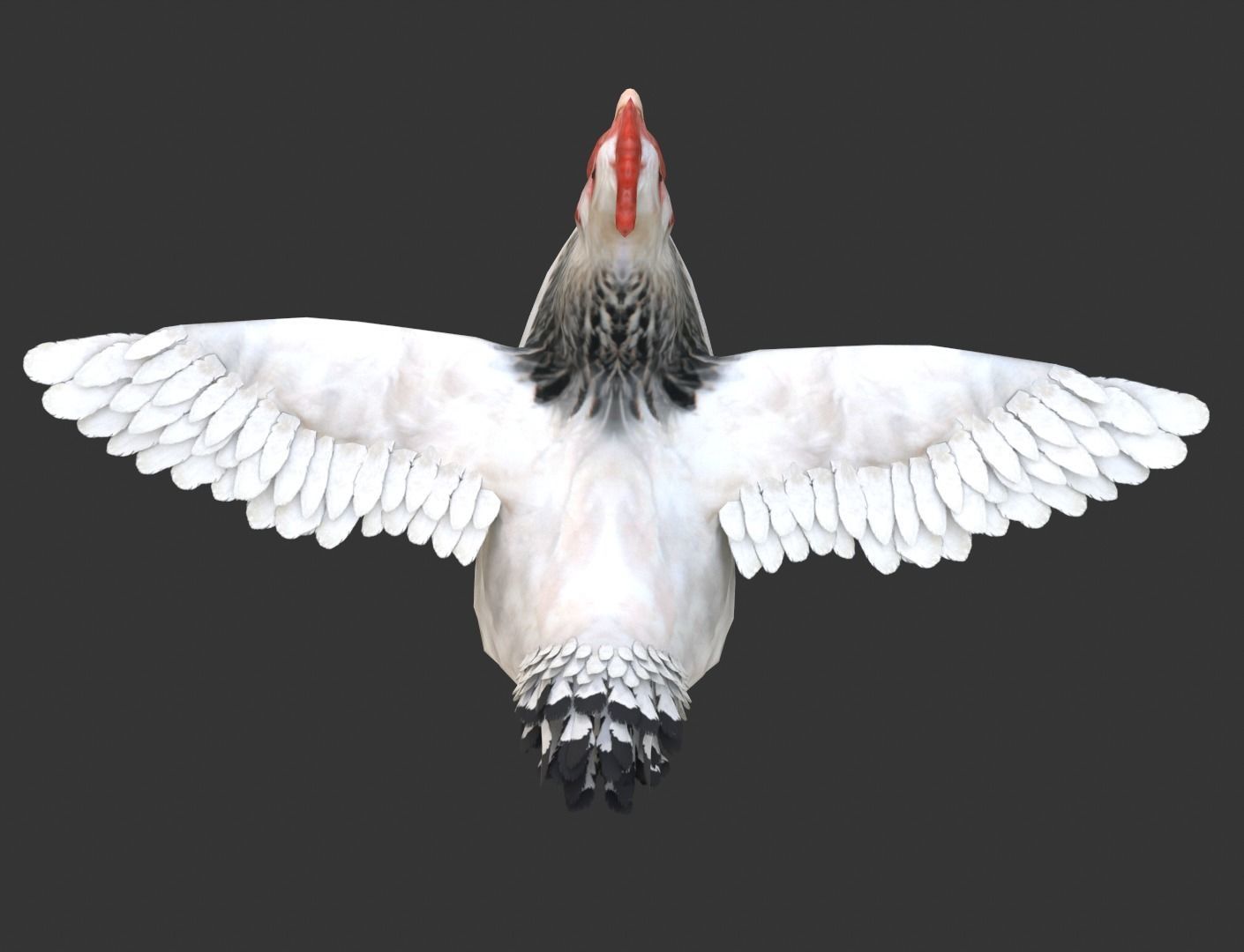 Simple hen chicken low poly model Low-poly 3D model_9