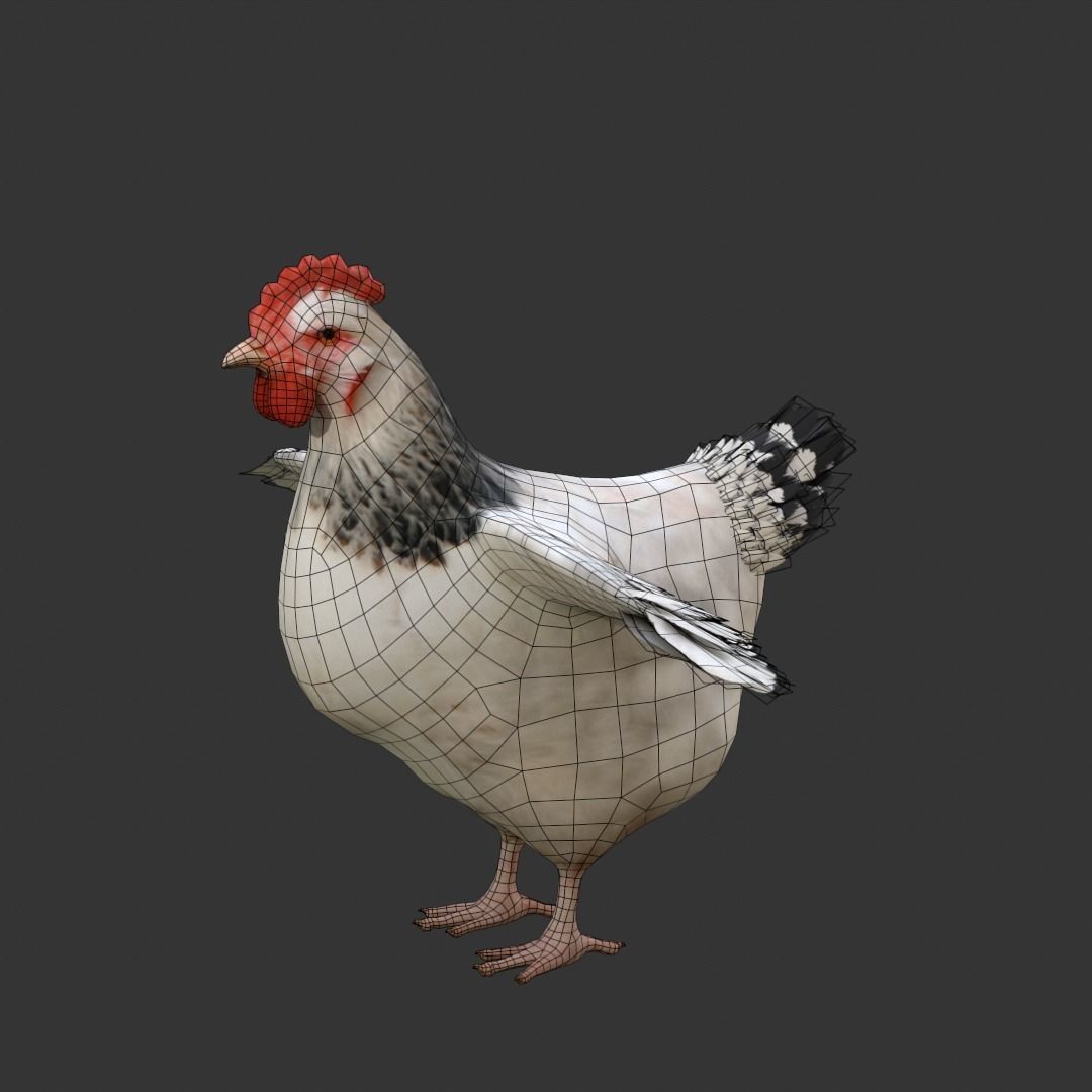 Simple hen chicken low poly model Low-poly 3D model_7