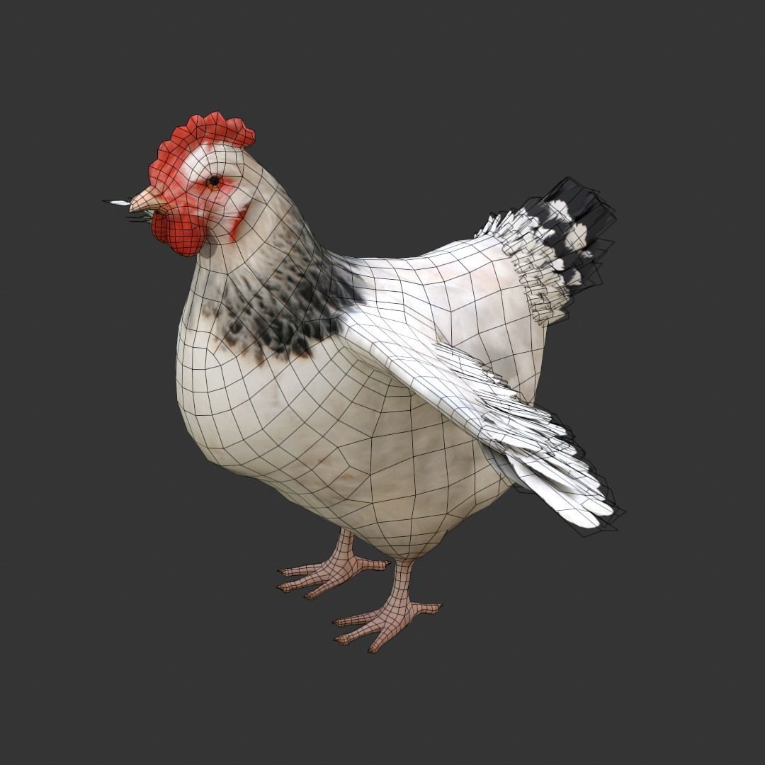 Simple hen chicken low poly model Low-poly 3D model_8