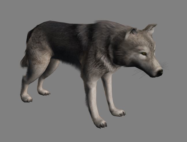 Wolf Animations-Lowpoly-Game Ready Low-poly 3D model_2