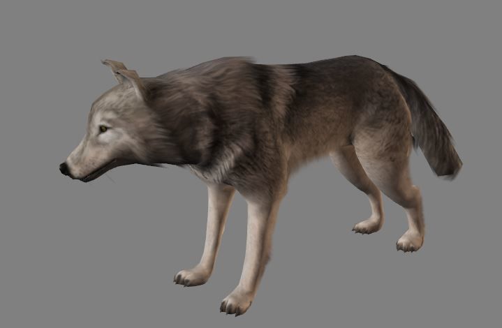 Wolf Animations-Lowpoly-Game Ready Low-poly 3D model_3