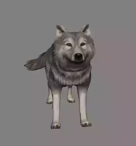 Wolf Animations-Lowpoly-Game Ready