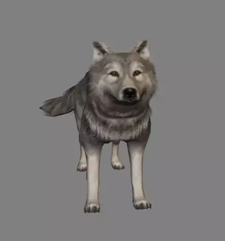 Wolf Animations-Lowpoly-Game Ready Low-poly 3D model_0