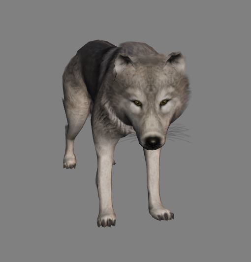 Wolf Animations-Lowpoly-Game Ready Low-poly 3D model_1