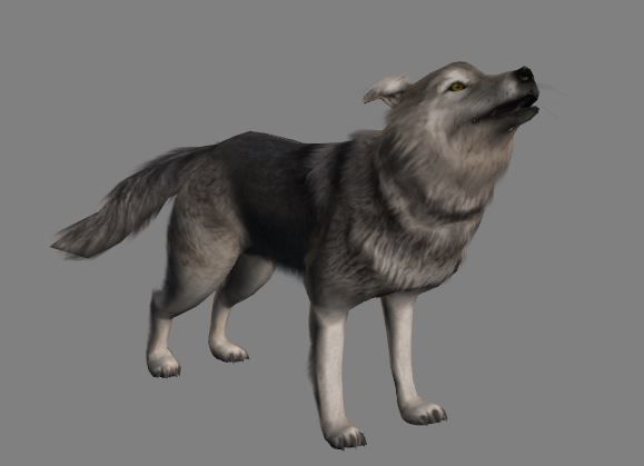 Wolf Animations-Lowpoly-Game Ready Low-poly 3D model_4