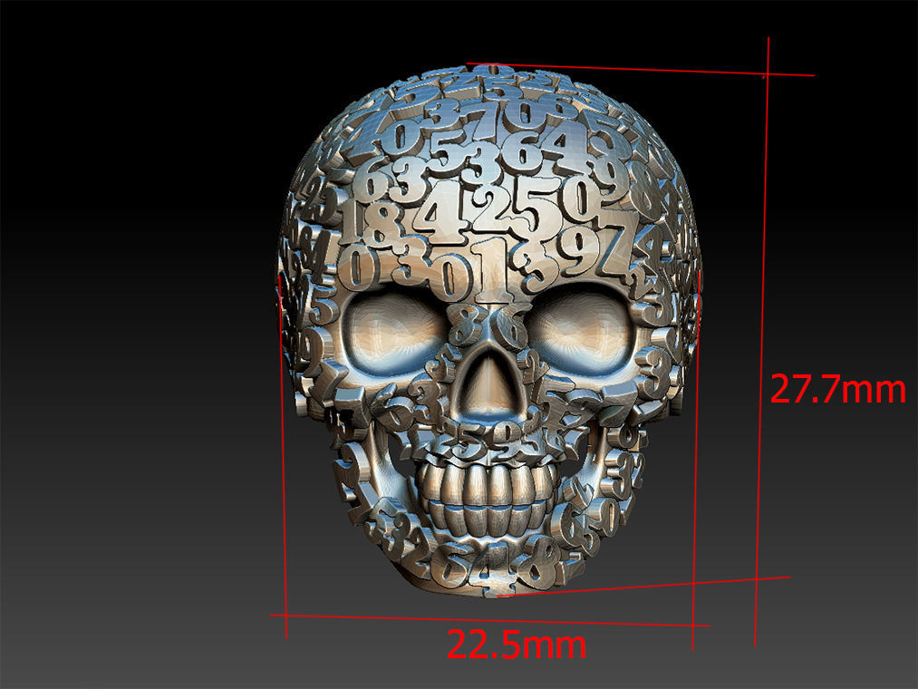 ring scull 3D print model_3
