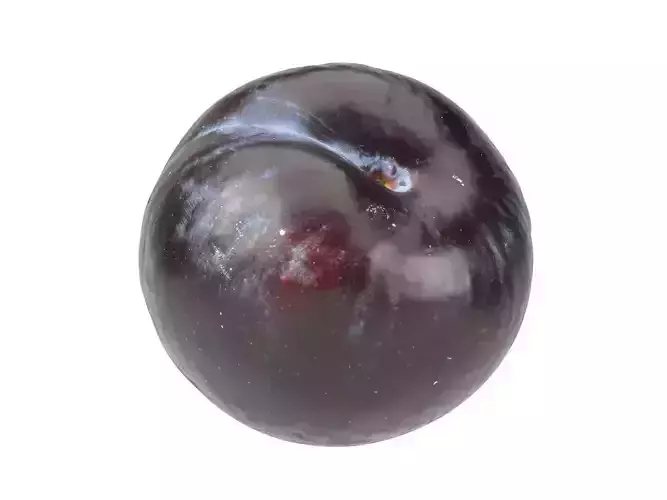 Photorealistic Plum 3D Scan