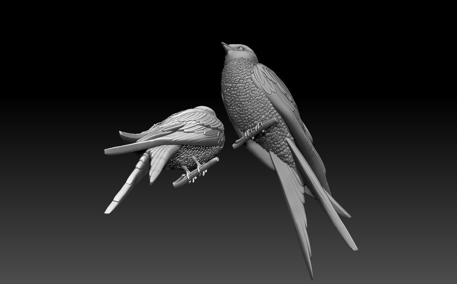 swallow 3D print model_36