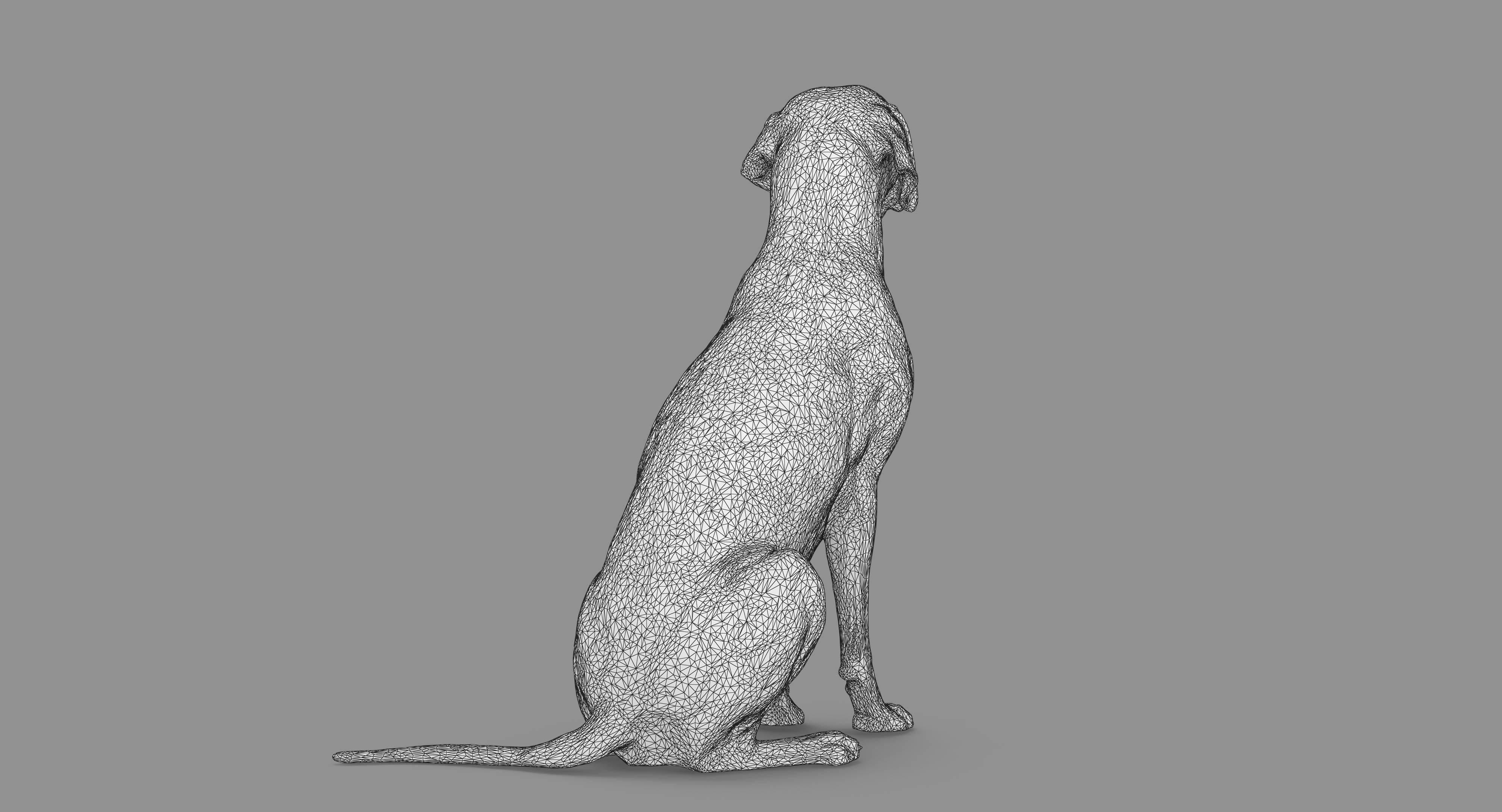 Dalmatian Dog Sitting Low-poly 3D model_70