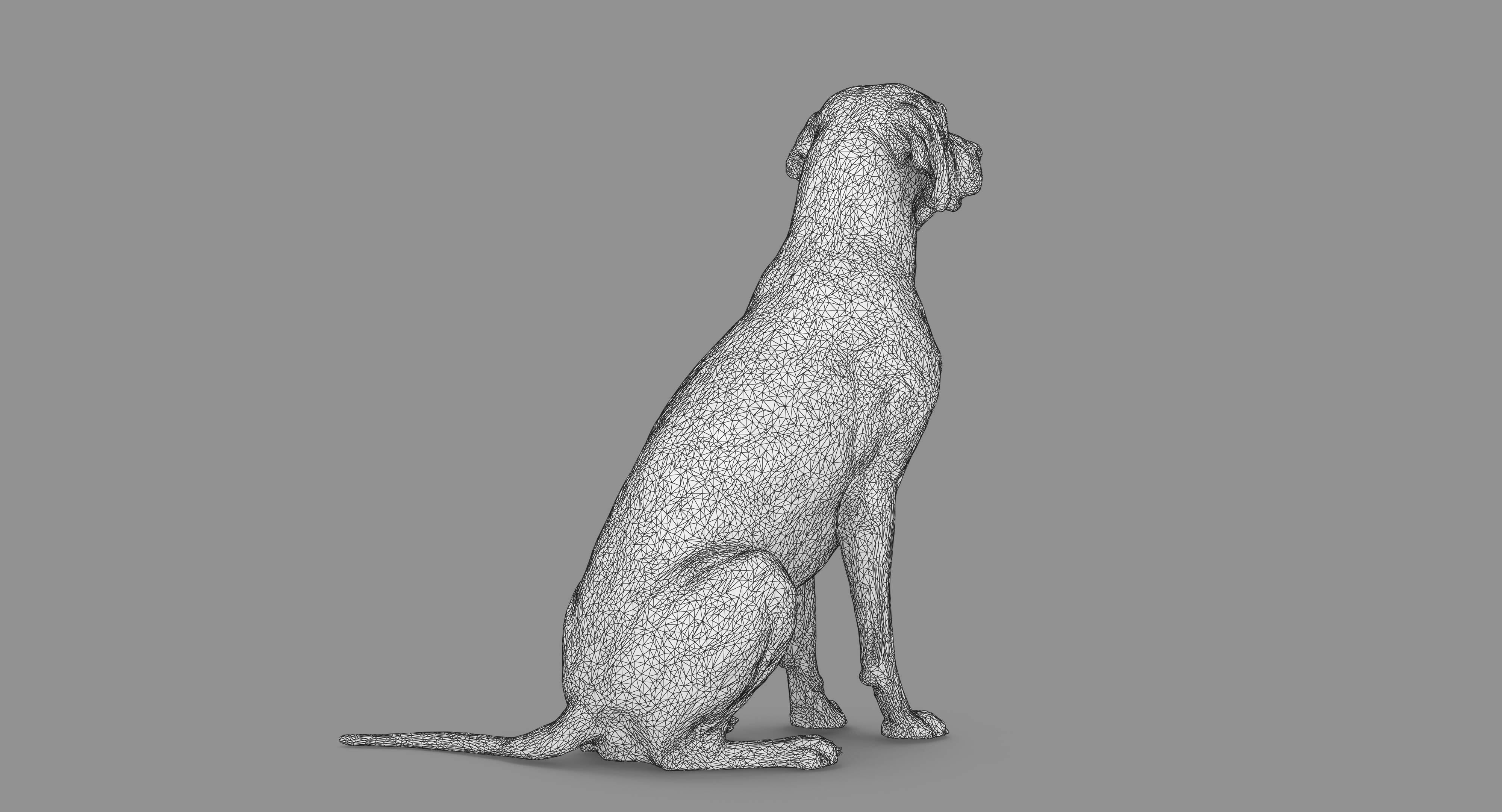 Dalmatian Dog Sitting Low-poly 3D model_68