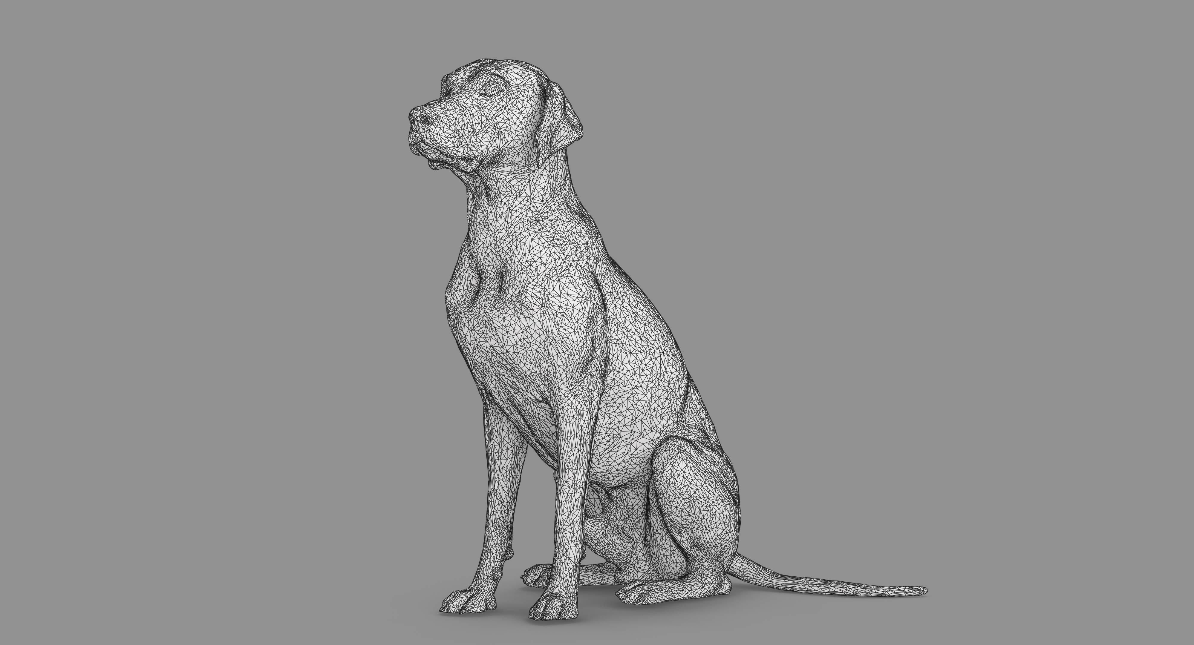 Dalmatian Dog Sitting Low-poly 3D model_46