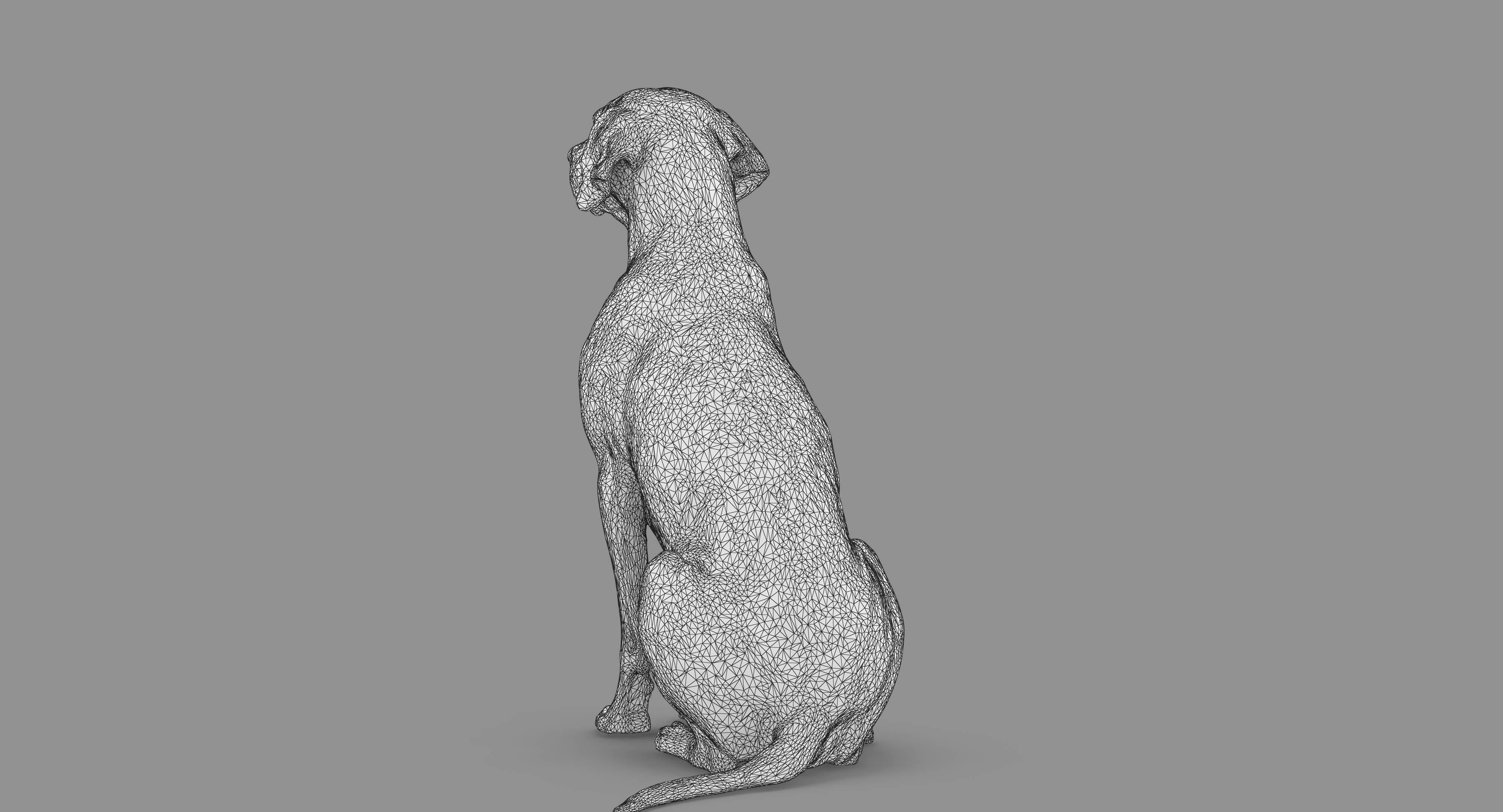 Dalmatian Dog Sitting Low-poly 3D model_78
