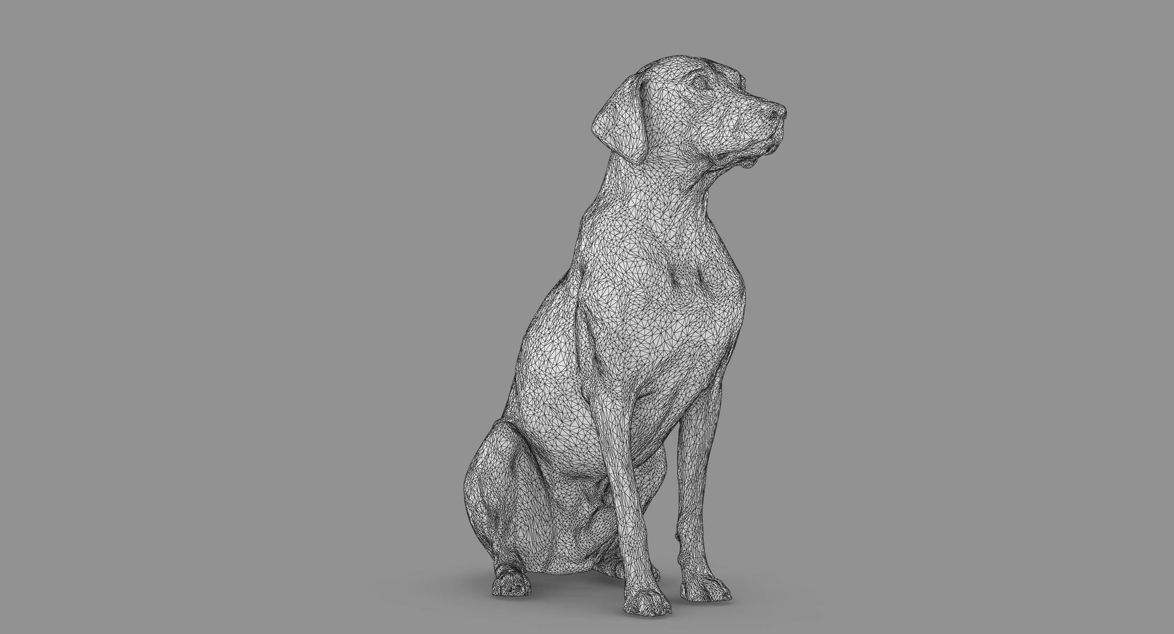 Dalmatian Dog Sitting Low-poly 3D model_56