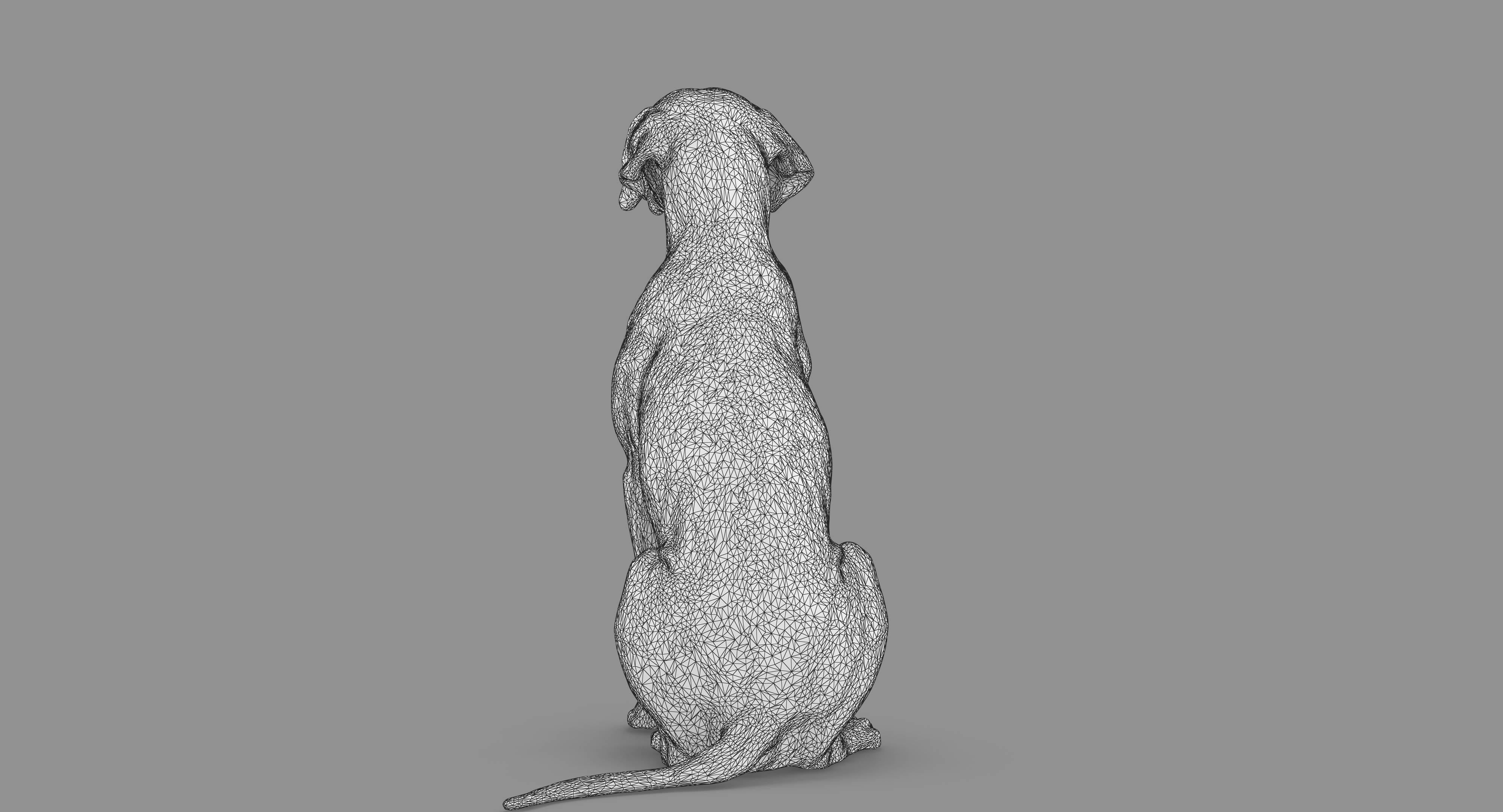 Dalmatian Dog Sitting Low-poly 3D model_76