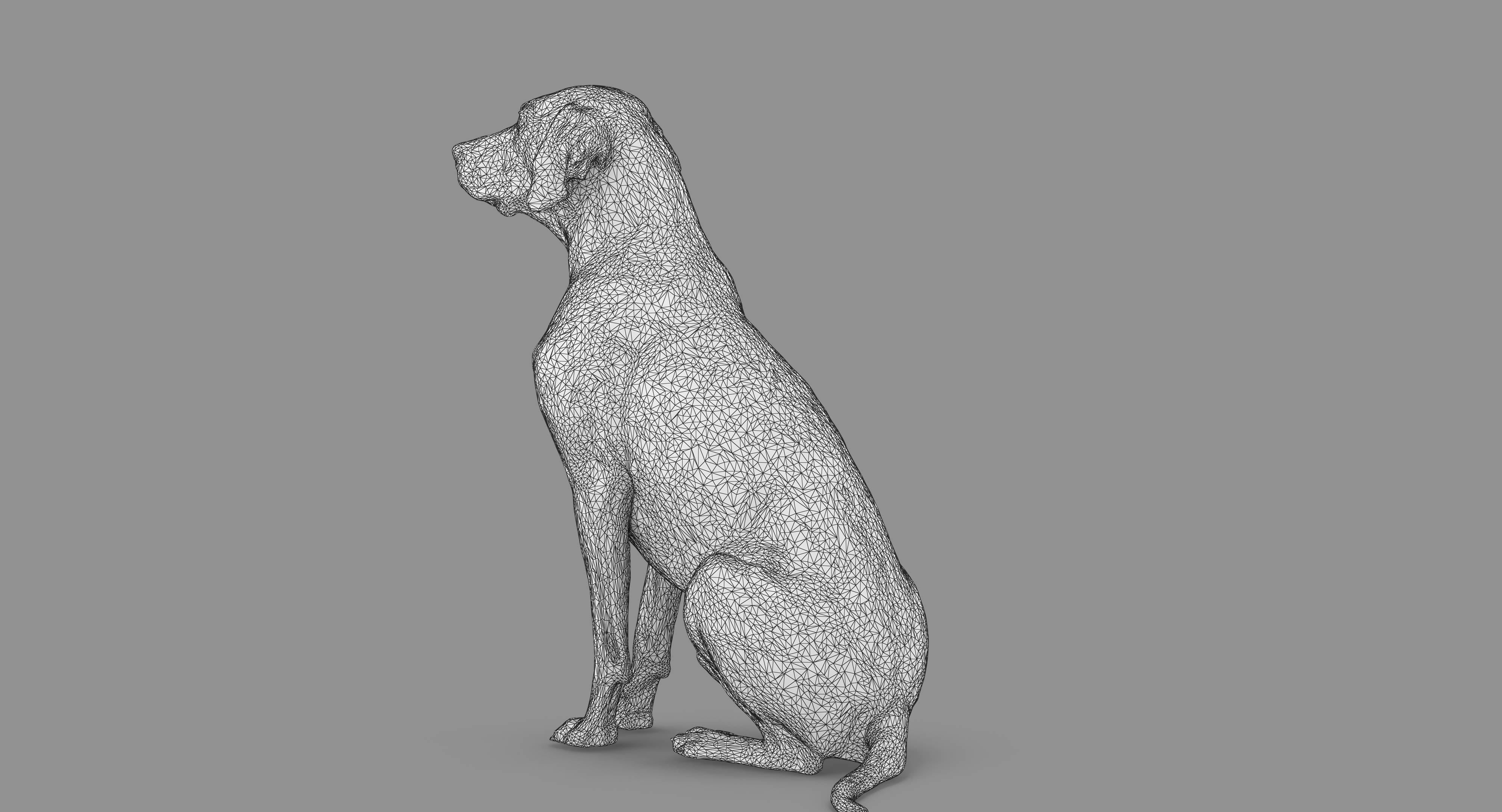 Dalmatian Dog Sitting Low-poly 3D model_82